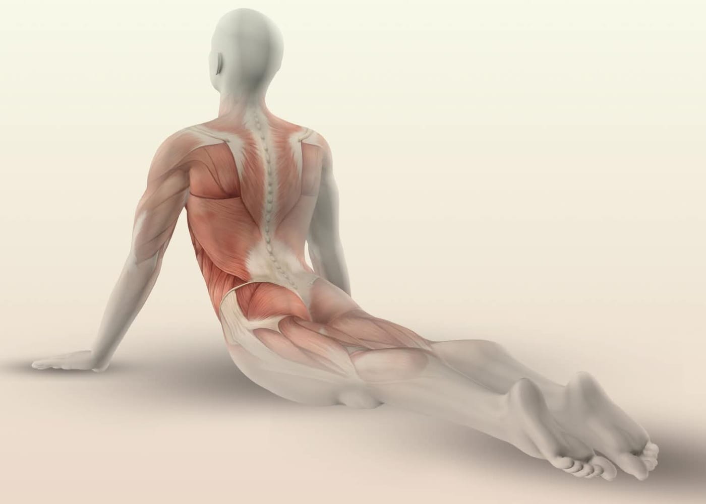 Reformer jumpboard mechanics — Pilates equipment reference photograph