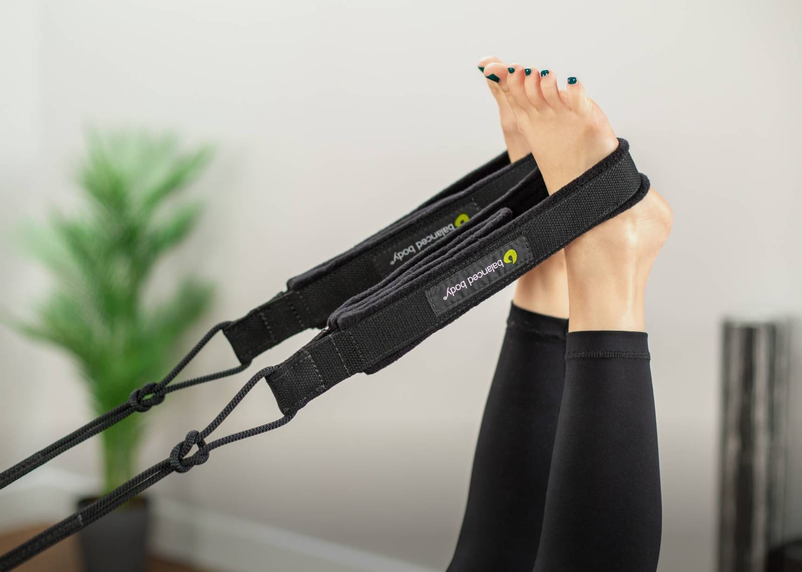 Reformer ropes and risers — Pilates equipment reference photograph
