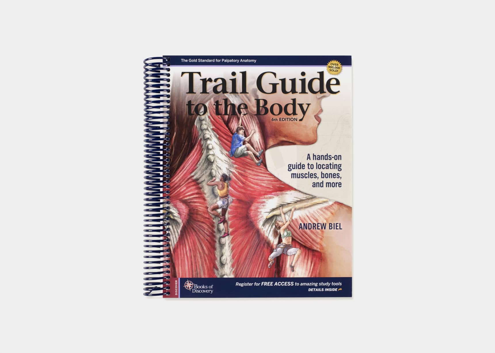 A hands-on guide to locating muscles, bones, and more